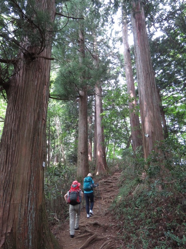 御岳山〜大岳山〜鋸山登山