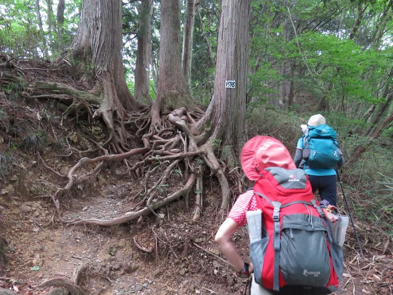 御岳山〜大岳山〜鋸山登山
