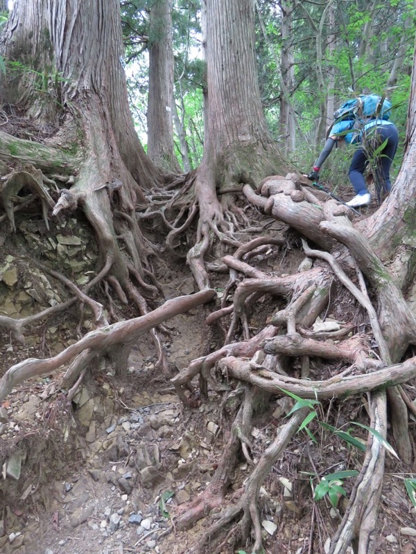御岳山〜大岳山〜鋸山登山