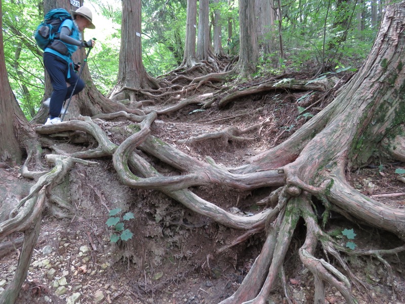 御岳山〜大岳山〜鋸山登山