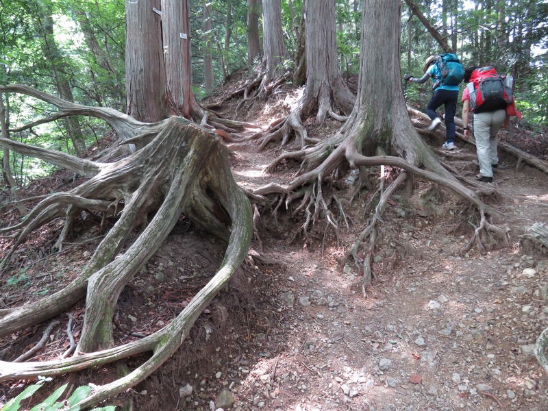 御岳山〜大岳山〜鋸山登山