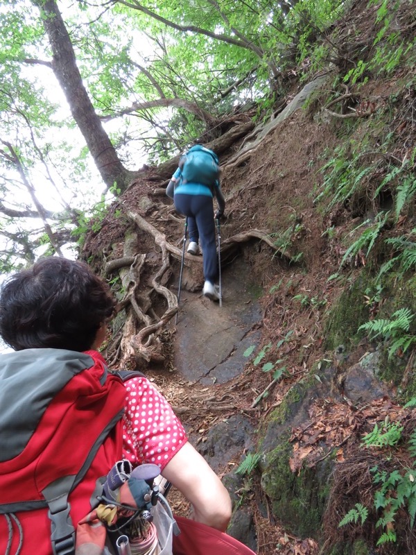 御岳山〜大岳山〜鋸山登山