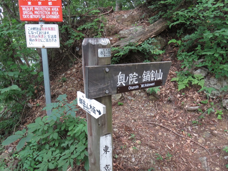 御岳山〜大岳山〜鋸山登山