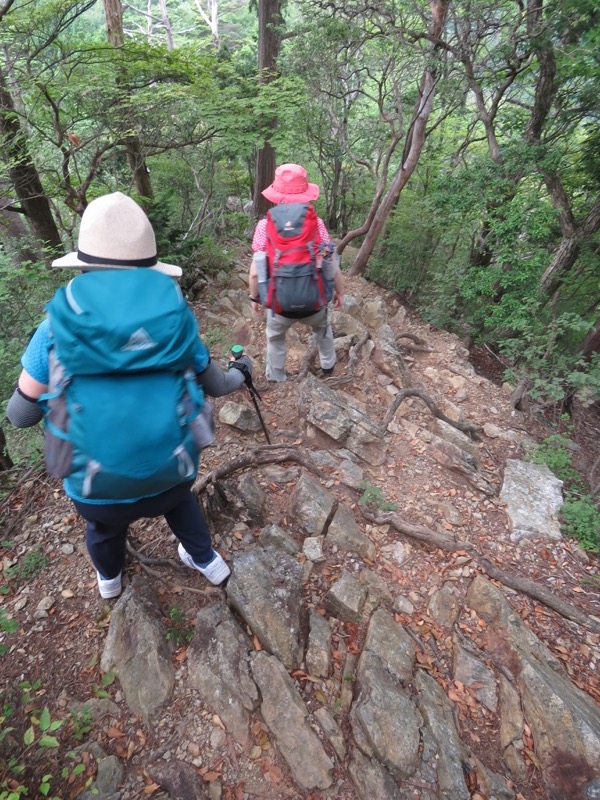 御岳山〜大岳山〜鋸山登山