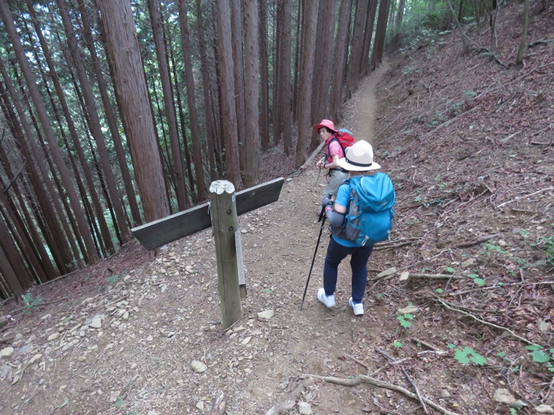 御岳山〜大岳山〜鋸山登山