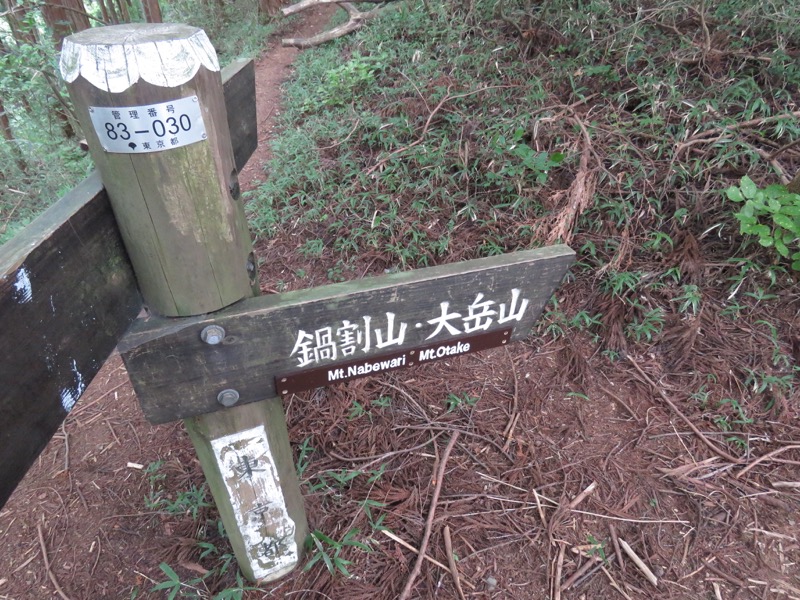御岳山〜大岳山〜鋸山登山