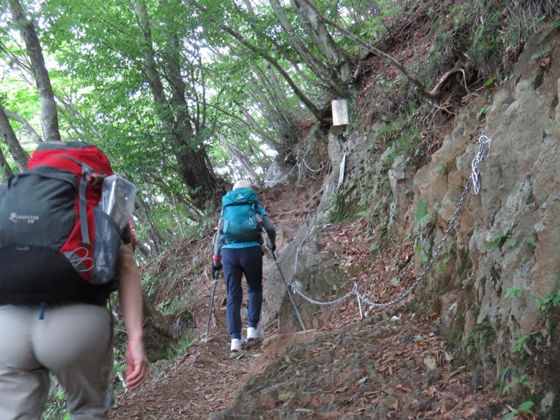 御岳山〜大岳山〜鋸山登山