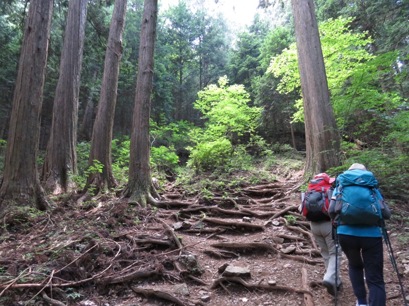 御岳山〜大岳山〜鋸山登山
