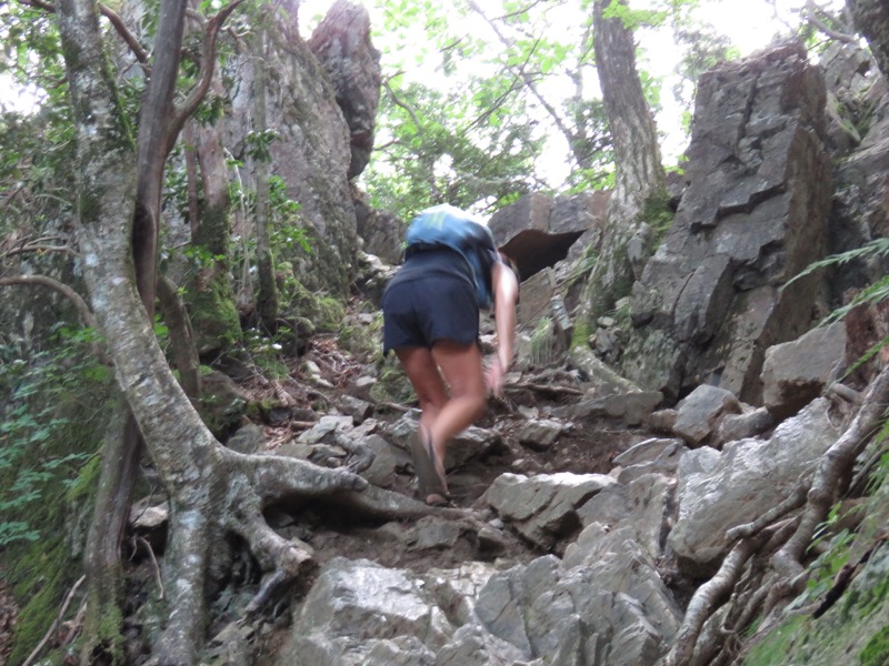 御岳山〜大岳山〜鋸山登山