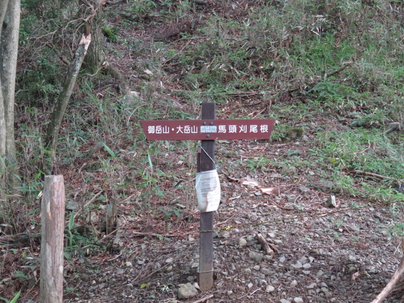 御岳山〜大岳山〜鋸山登山