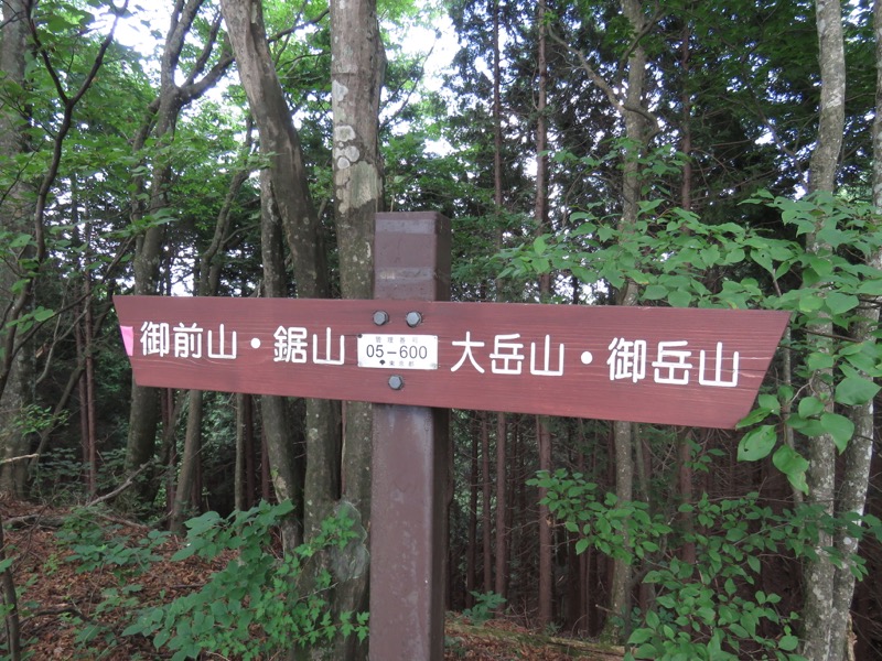 御岳山〜大岳山〜鋸山登山
