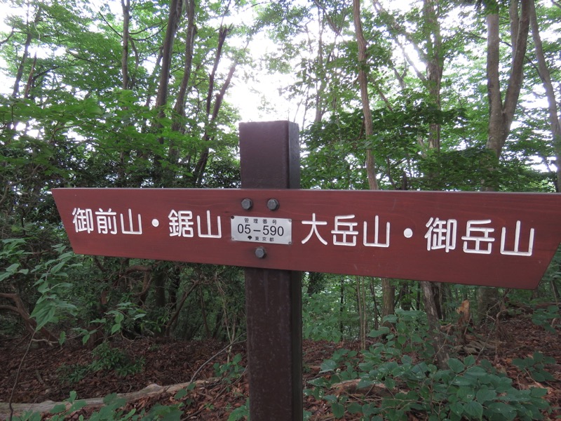 御岳山〜大岳山〜鋸山登山