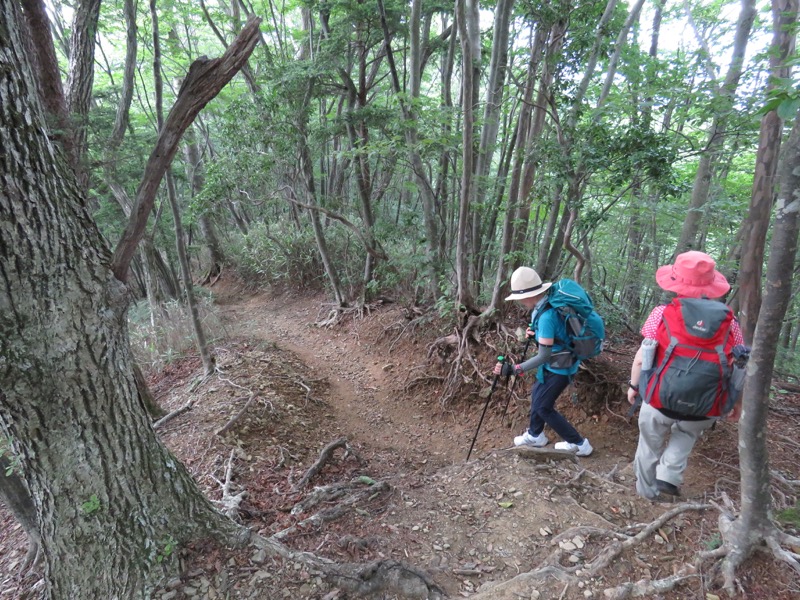 御岳山〜大岳山〜鋸山登山