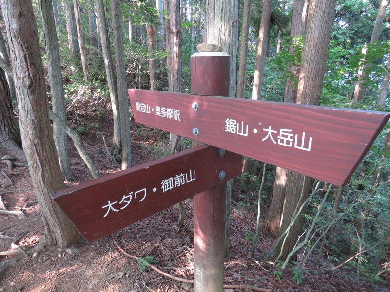 御岳山〜大岳山〜鋸山登山