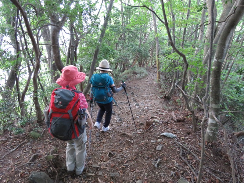 御岳山〜大岳山〜鋸山登山