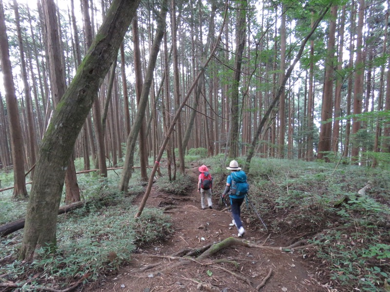 御岳山〜大岳山〜鋸山登山