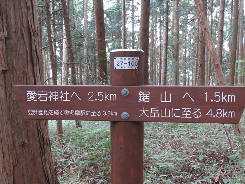 御岳山〜大岳山〜鋸山登山