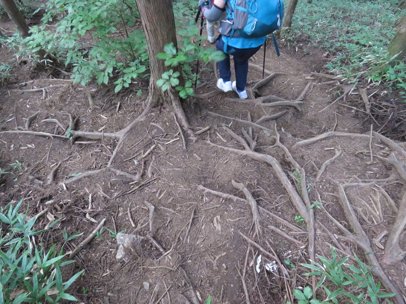 御岳山〜大岳山〜鋸山登山