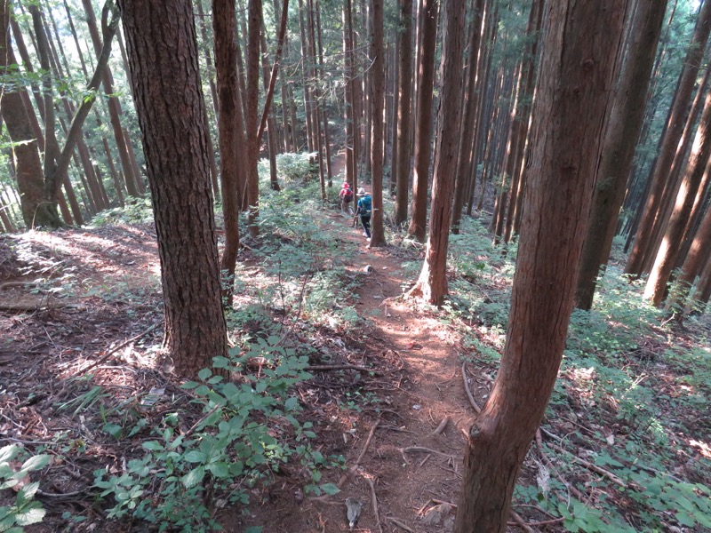 御岳山〜大岳山〜鋸山登山