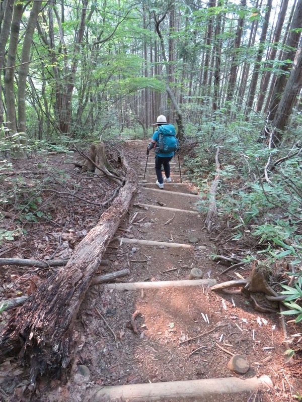 御岳山〜大岳山〜鋸山登山
