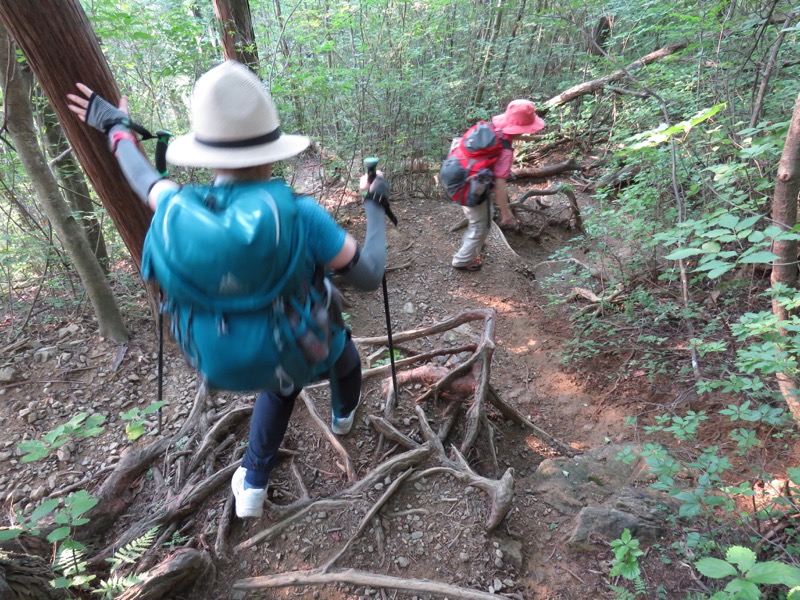 御岳山〜大岳山〜鋸山登山