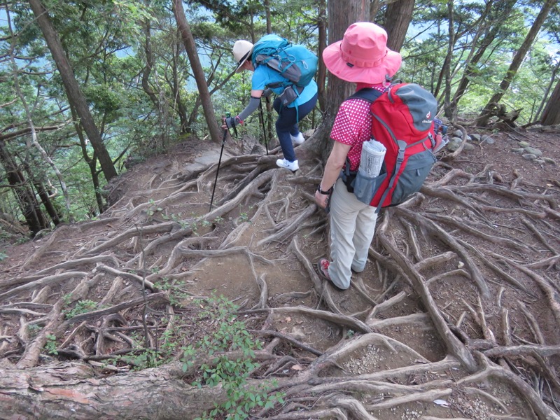 御岳山〜大岳山〜鋸山登山
