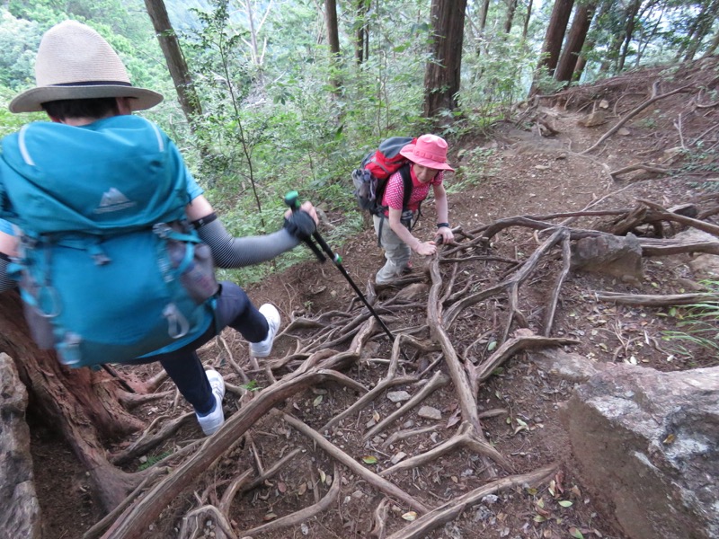御岳山〜大岳山〜鋸山登山