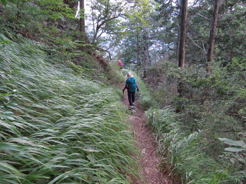 御岳山〜大岳山〜鋸山登山