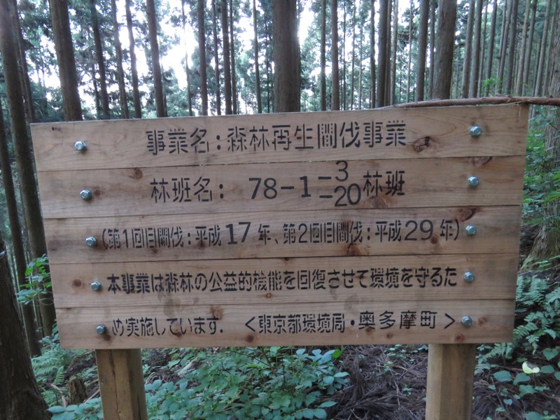 御岳山〜大岳山〜鋸山登山
