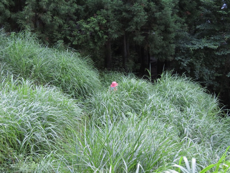 御岳山〜大岳山〜鋸山登山
