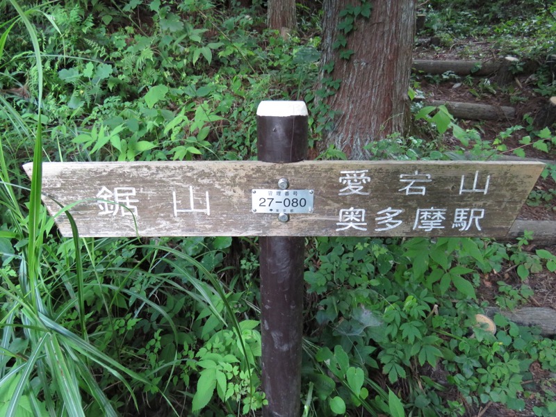 御岳山〜大岳山〜鋸山登山