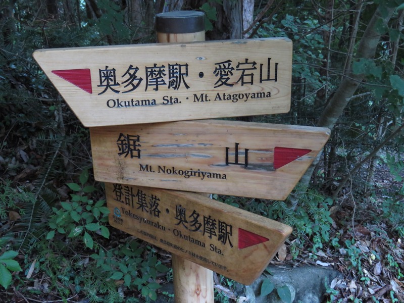 御岳山〜大岳山〜鋸山登山