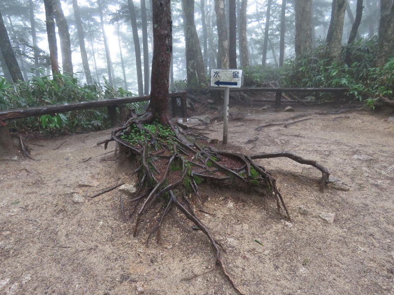 燕岳、登山