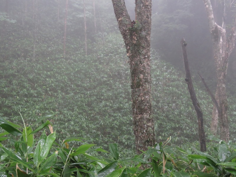 燕岳、登山