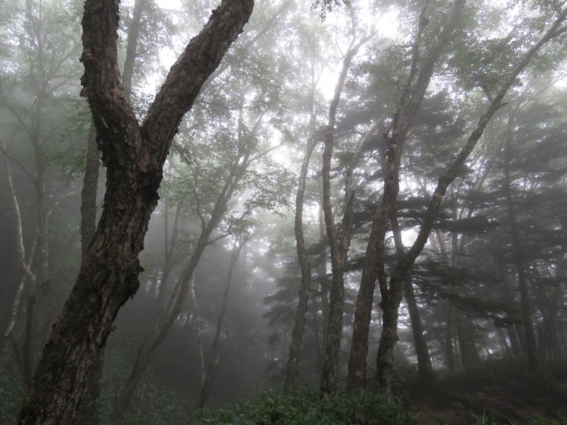 燕岳、登山