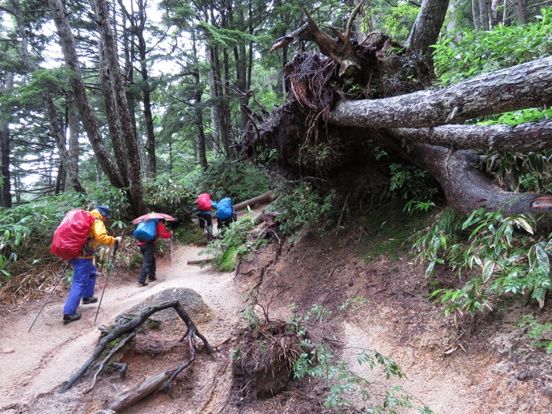 燕岳、登山