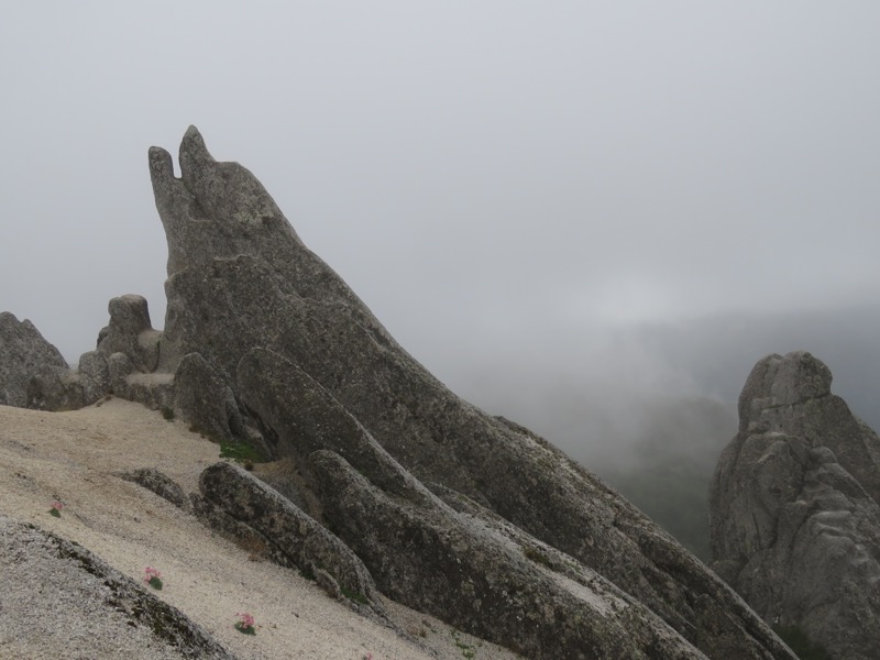 燕岳〜大天井岳〜常念乗越、登山