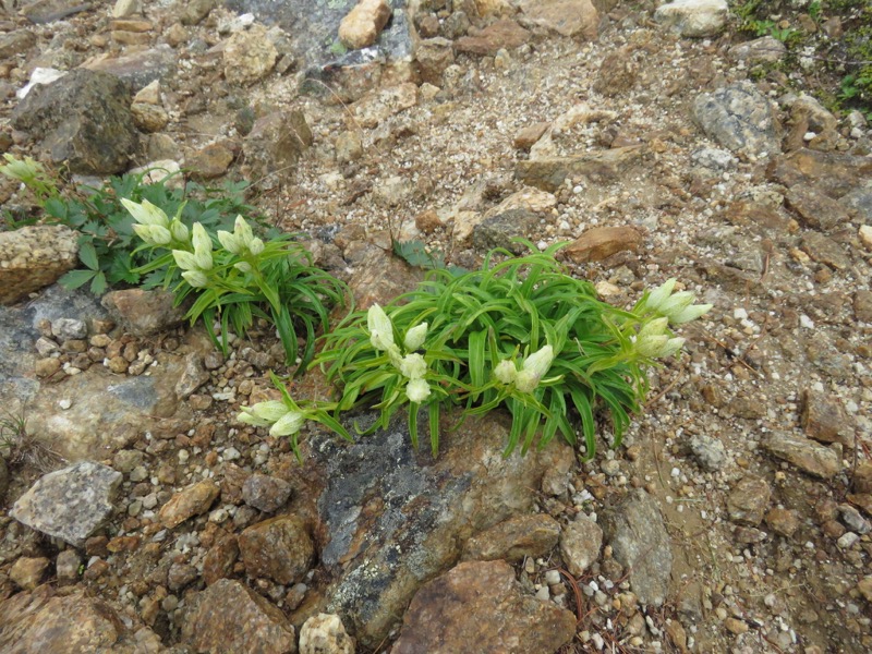 燕岳〜大天井岳〜常念乗越、登山