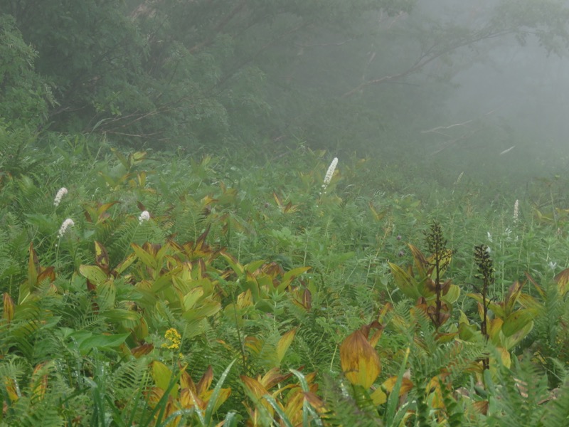 燕岳〜大天井岳〜常念乗越、登山