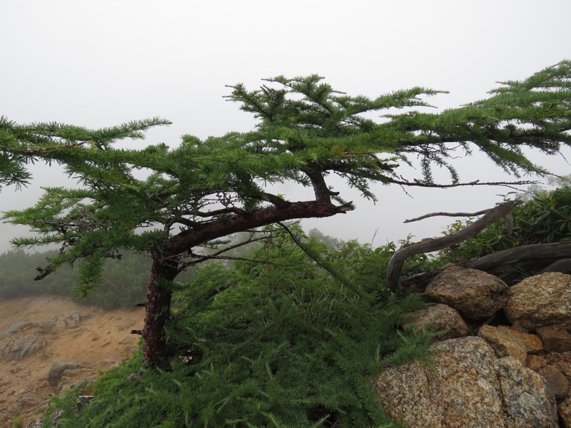 燕岳〜大天井岳〜常念乗越、登山