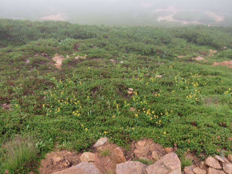 燕岳〜大天井岳〜常念乗越、登山