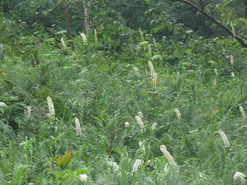 常念岳〜蝶ヶ岳、登山