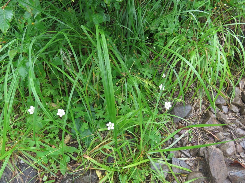 常念岳〜蝶ヶ岳、登山