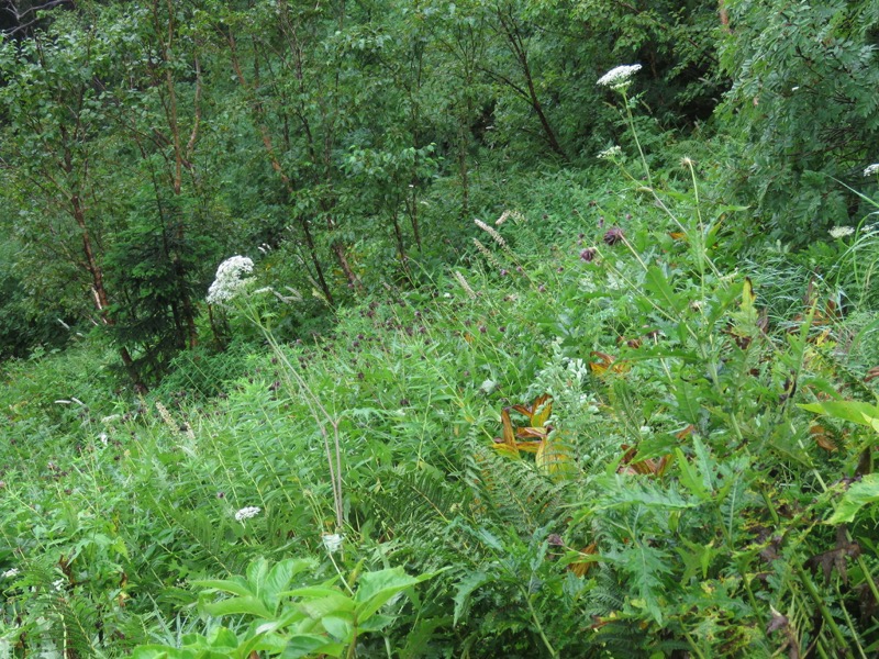 常念岳〜蝶ヶ岳、登山