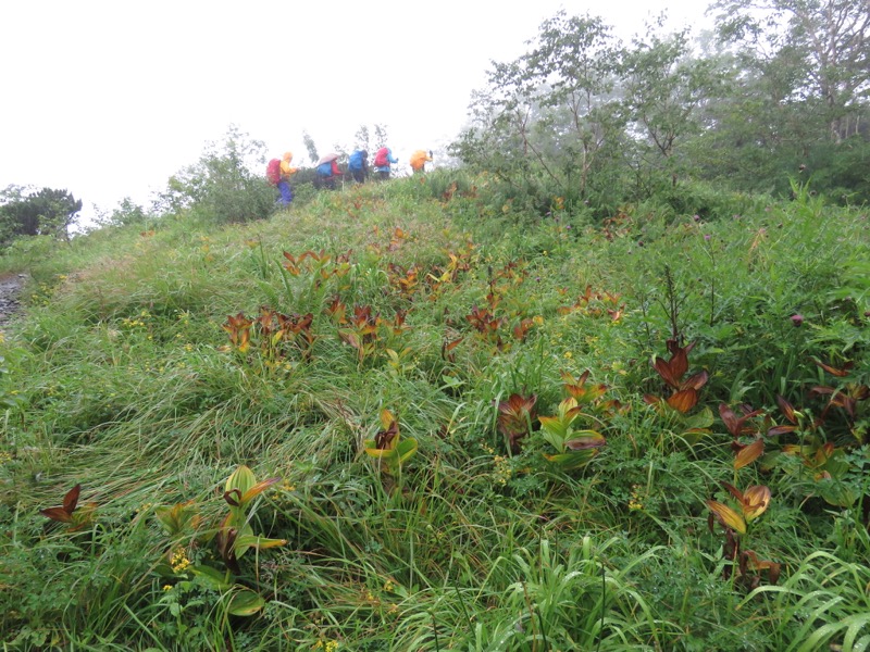 常念岳〜蝶ヶ岳、登山