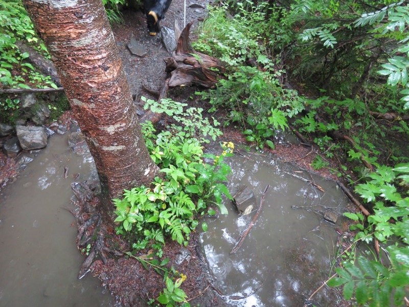 常念岳〜蝶ヶ岳、登山