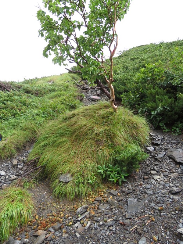 常念岳〜蝶ヶ岳、登山