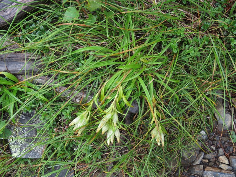 常念岳〜蝶ヶ岳、登山