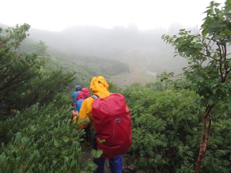 蝶ヶ岳〜徳沢〜上高地、登山