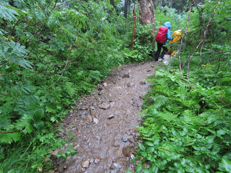 蝶ヶ岳〜徳沢〜上高地、登山